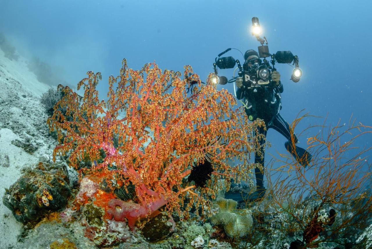 The Three P Beach Resort & Dive Center Agnay Bagian luar foto